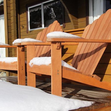Lakeview Cottage بحيرة تيكابو المظهر الخارجي الصورة