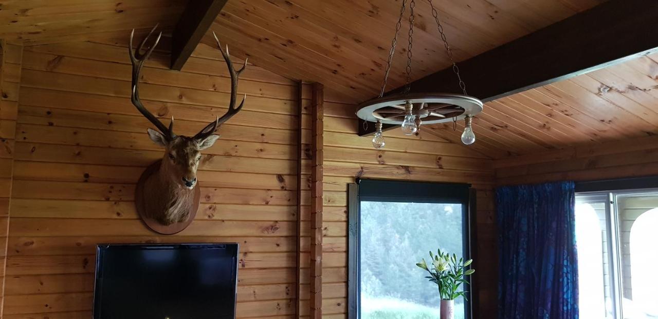 Lakeview Cottage بحيرة تيكابو المظهر الخارجي الصورة