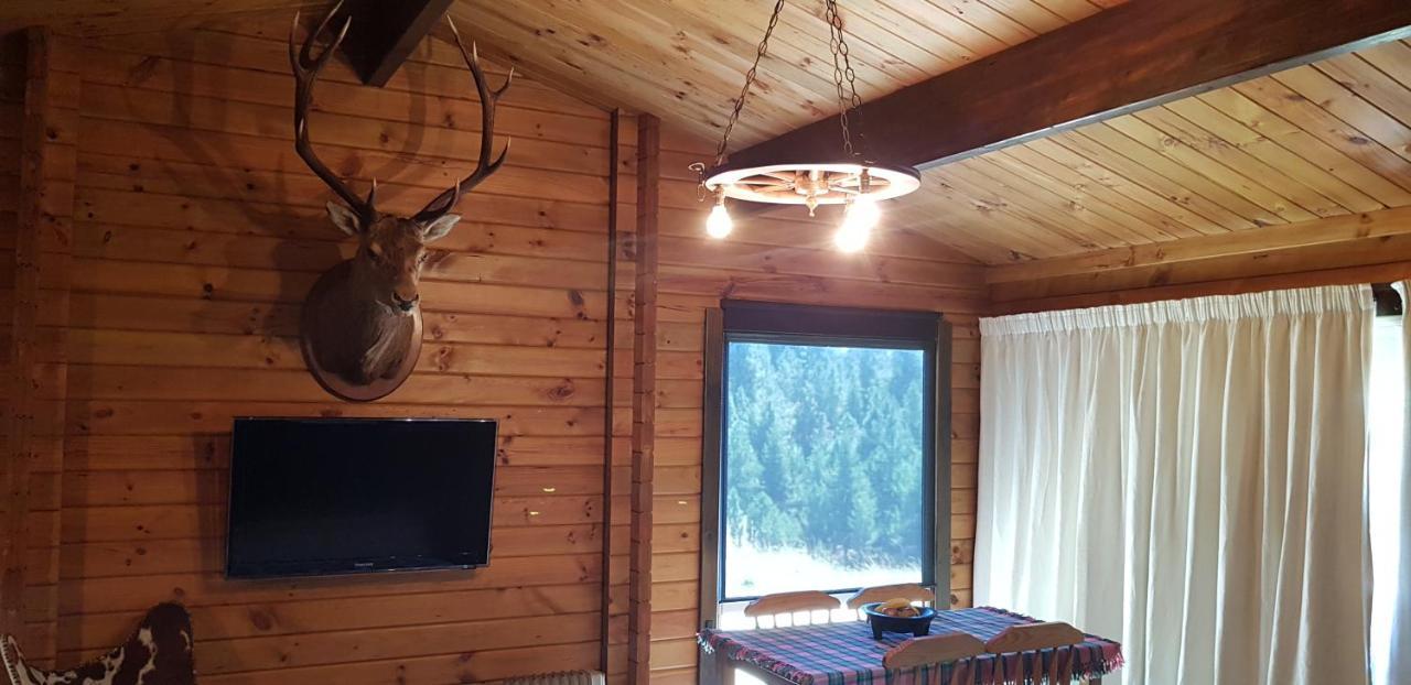 Lakeview Cottage بحيرة تيكابو المظهر الخارجي الصورة